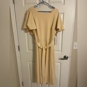 NWT Calvin Klein Midi Dress